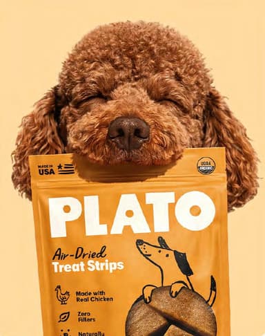 Platopettreats Logo