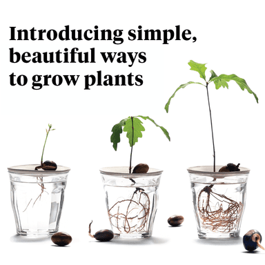 botanopia Logo
