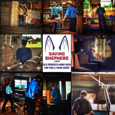 savingshepherd Logo