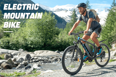 viviebikes Logo